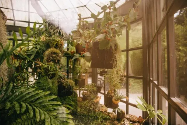 Oranżeria jako miejsce spotkań – jak ją zaaranżować?